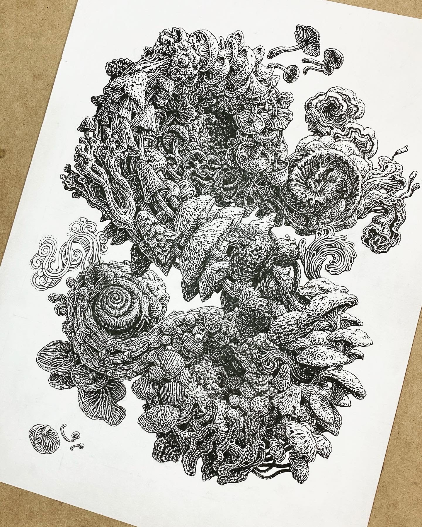 "Mushroom Menagerie" Screen Print or Original Ink Drawing