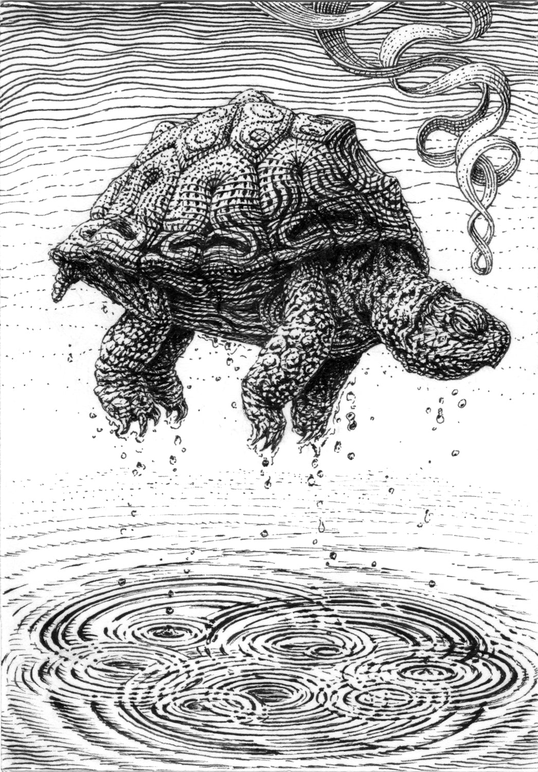 Rising Turtle Ink Drawing