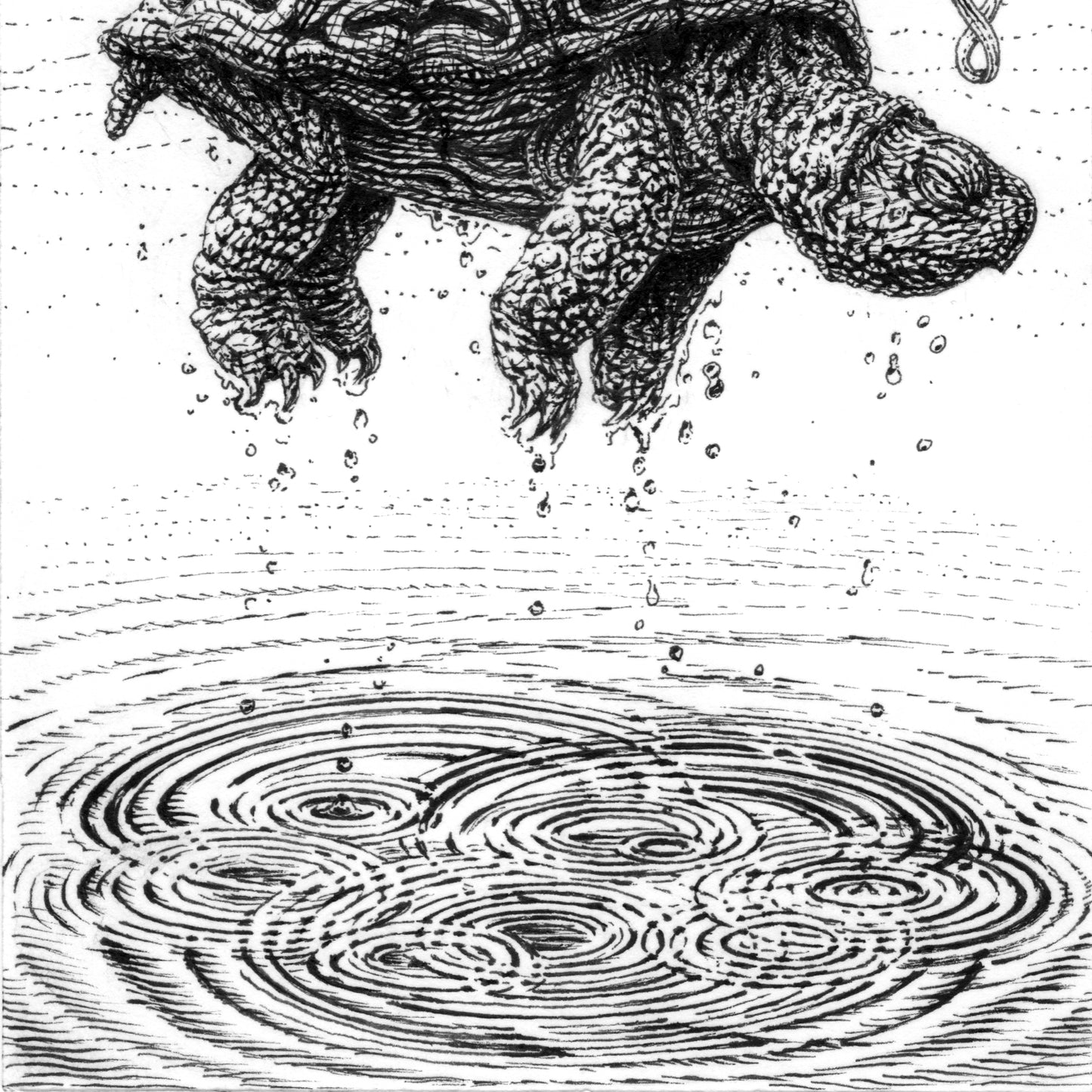 Rising Turtle Ink Drawing