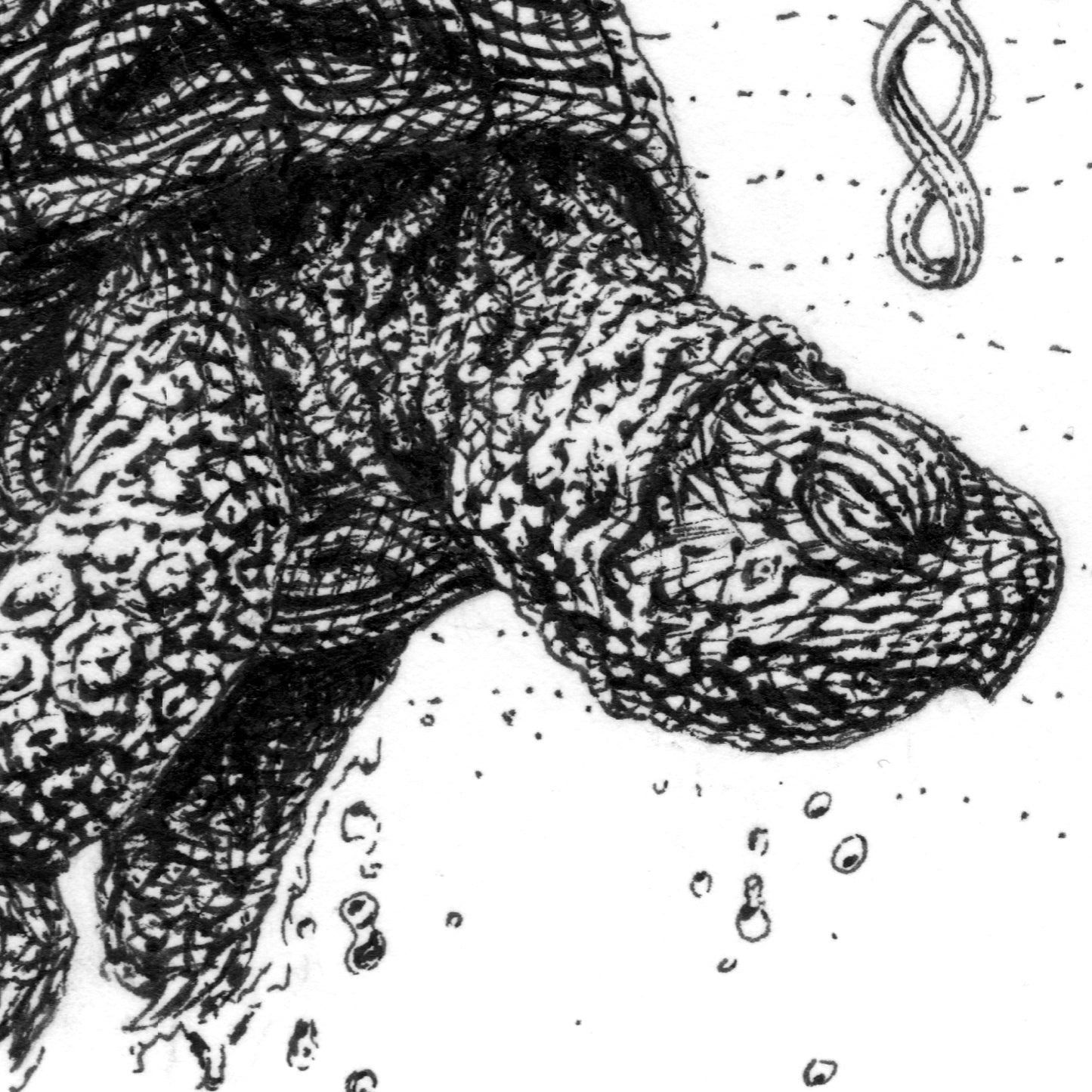 Rising Turtle Ink Drawing