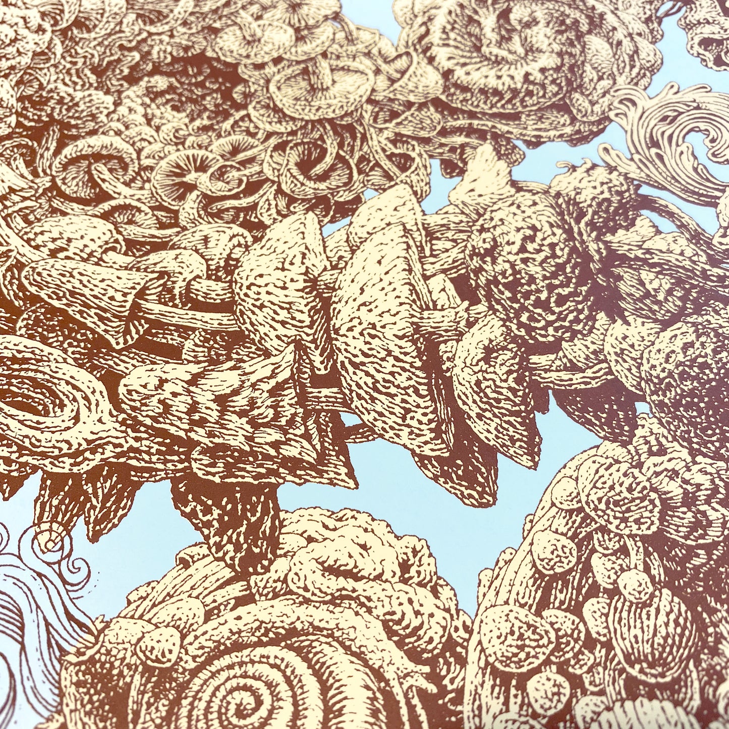 "Mushroom Menagerie" Screen Print or Original Ink Drawing