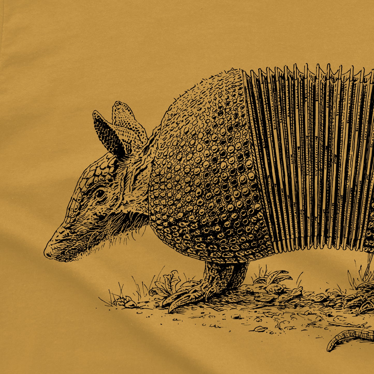 Armaccordion Armadillo Shirt