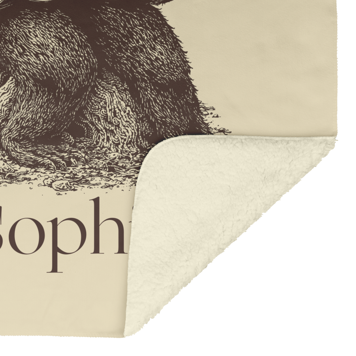 Bear_Blanket_Ogg_V_Blanket_Sherpa_Mockup.png