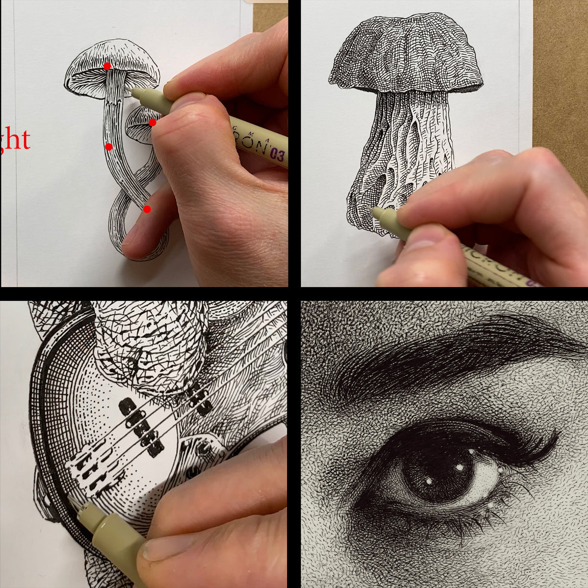 Online Course Ink Drawing How to Draw With Pen and Ink Video Course – Scatterbrain Tees
