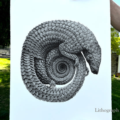 Pangolinfinite Limited Edition Lithograph and Giclee Prints -  Pangolin Print