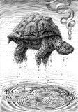 Rising Turtle Ink Drawing