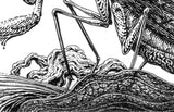 Ornate Praying Mantis Ink Drawing